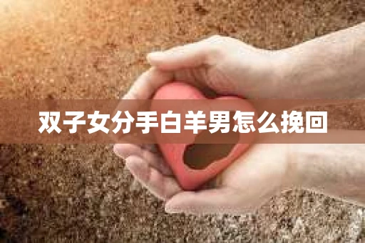 双子女分手白羊男怎么挽回