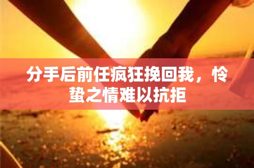 分手后前任疯狂挽回我，怜蛰之情难以抗拒