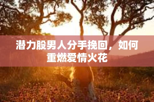 潜力股男人分手挽回，如何重燃爱情火花