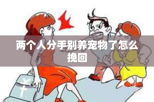 两个人分手别养宠物了怎么挽回