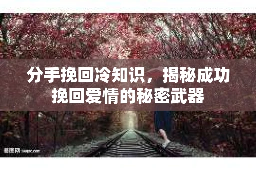 分手挽回冷知识，揭秘成功挽回爱情的秘密武器