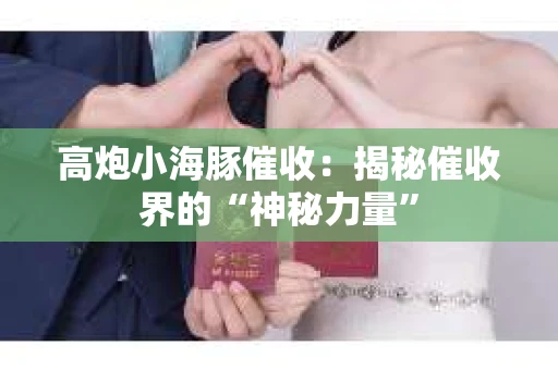 高炮小海豚催收：揭秘催收界的“神秘力量”