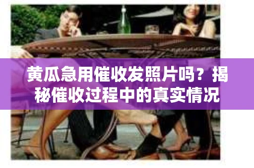 黄瓜急用催收发照片吗？揭秘催收过程中的真实情况