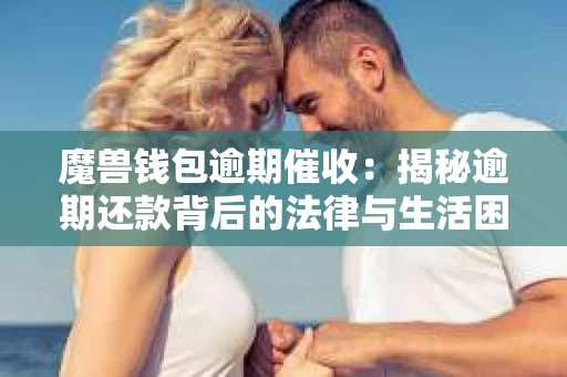 魔兽钱包逾期催收：揭秘逾期还款背后的法律与生活困境