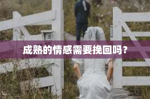 成熟的情感需要挽回吗？