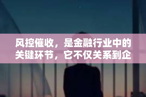 风控催收，是金融行业中的关键环节，它不仅关系到企业的资金安全，也影响着客户的体验。今天，我们就来聊聊风控催收的建议，希望能为从事这一行业的朋友们提供一些实用的参考。