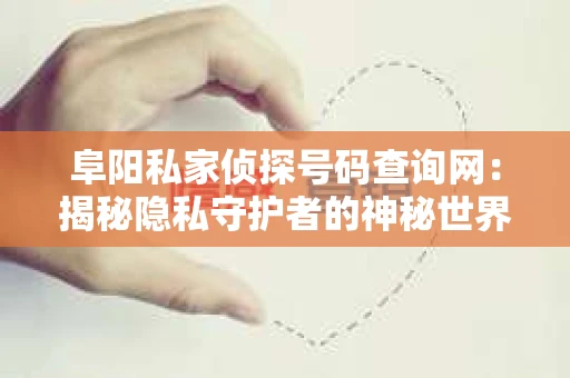阜阳私家侦探号码查询网：揭秘隐私守护者的神秘世界