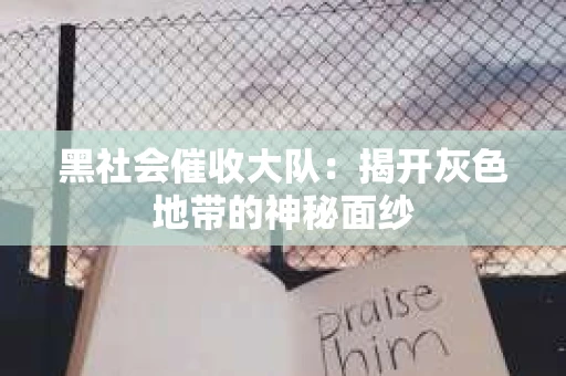 黑社会催收大队：揭开灰色地带的神秘面纱
