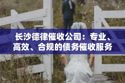 长沙德律催收公司：专业、高效、合规的债务催收服务