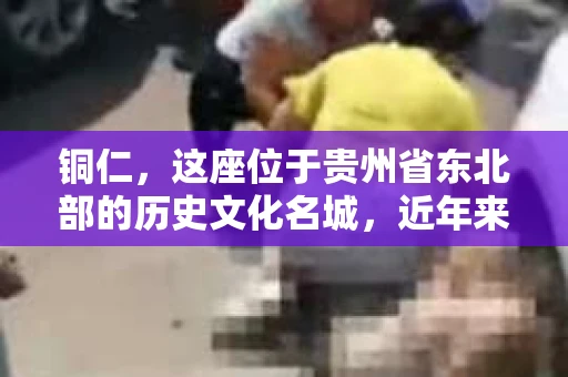 铜仁，这座位于贵州省东北部的历史文化名城，近年来随着社会经济的发展，人们的生活节奏加快，对于隐私保护和信息查询的需求也逐渐增多。那么，铜仁有私家侦探吗？这个问题对于很多人来说可能有些敏感，但作为一位在法律界摸爬滚打多年的律师，我想和大家聊聊这个话题。