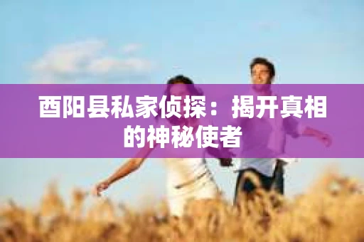 酉阳县私家侦探：揭开真相的神秘使者
