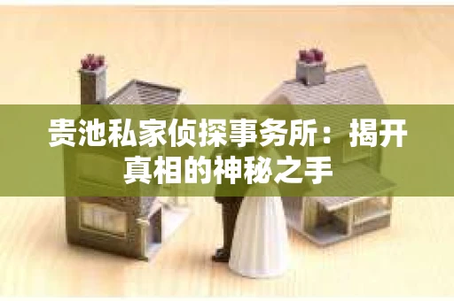 贵池私家侦探事务所：揭开真相的神秘之手