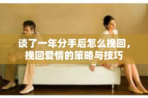 谈了一年分手后怎么挽回，挽回爱情的策略与技巧