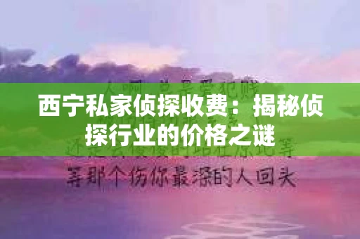 西宁私家侦探收费：揭秘侦探行业的价格之谜
