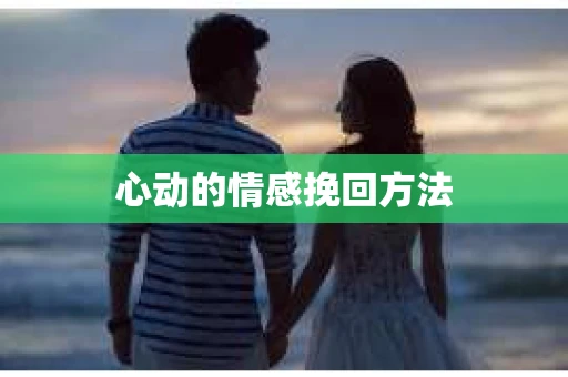 心动的情感挽回方法
