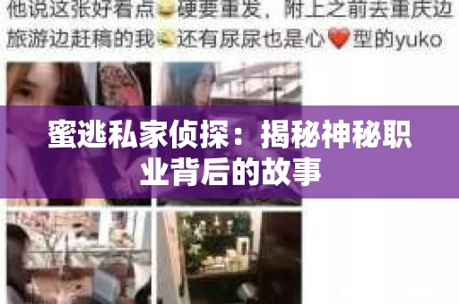 蜜逃私家侦探：揭秘神秘职业背后的故事