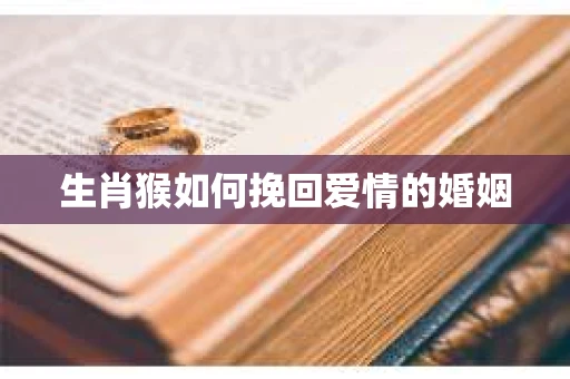 生肖猴如何挽回爱情的婚姻